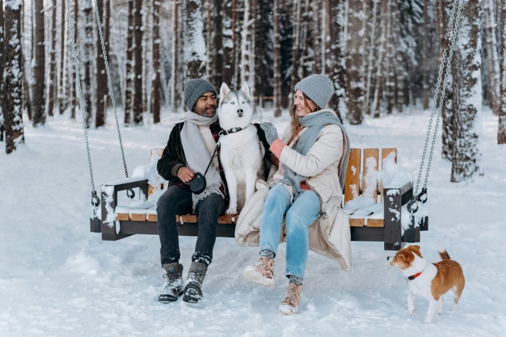 A couple with dogs sitting on a swing in a snowy forest, sharing joy and warmth.